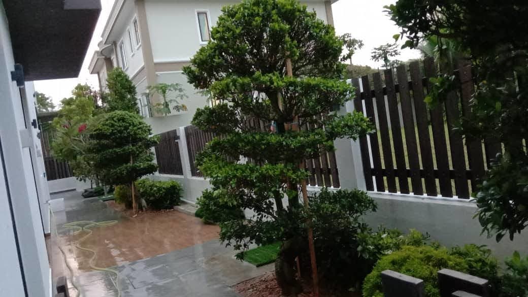 Flower Borders with Real Grass Paths Charming and Inviting Garden