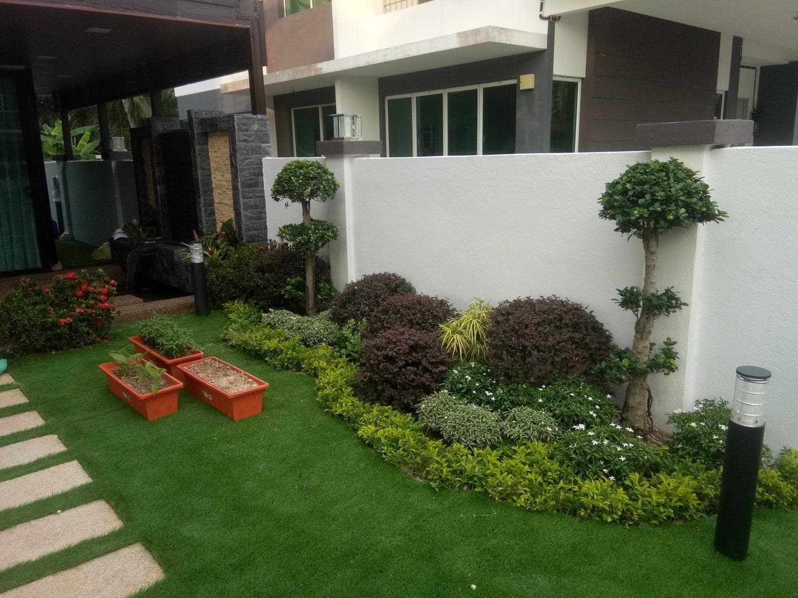 Natural Garden with Real Grass and Native Plants