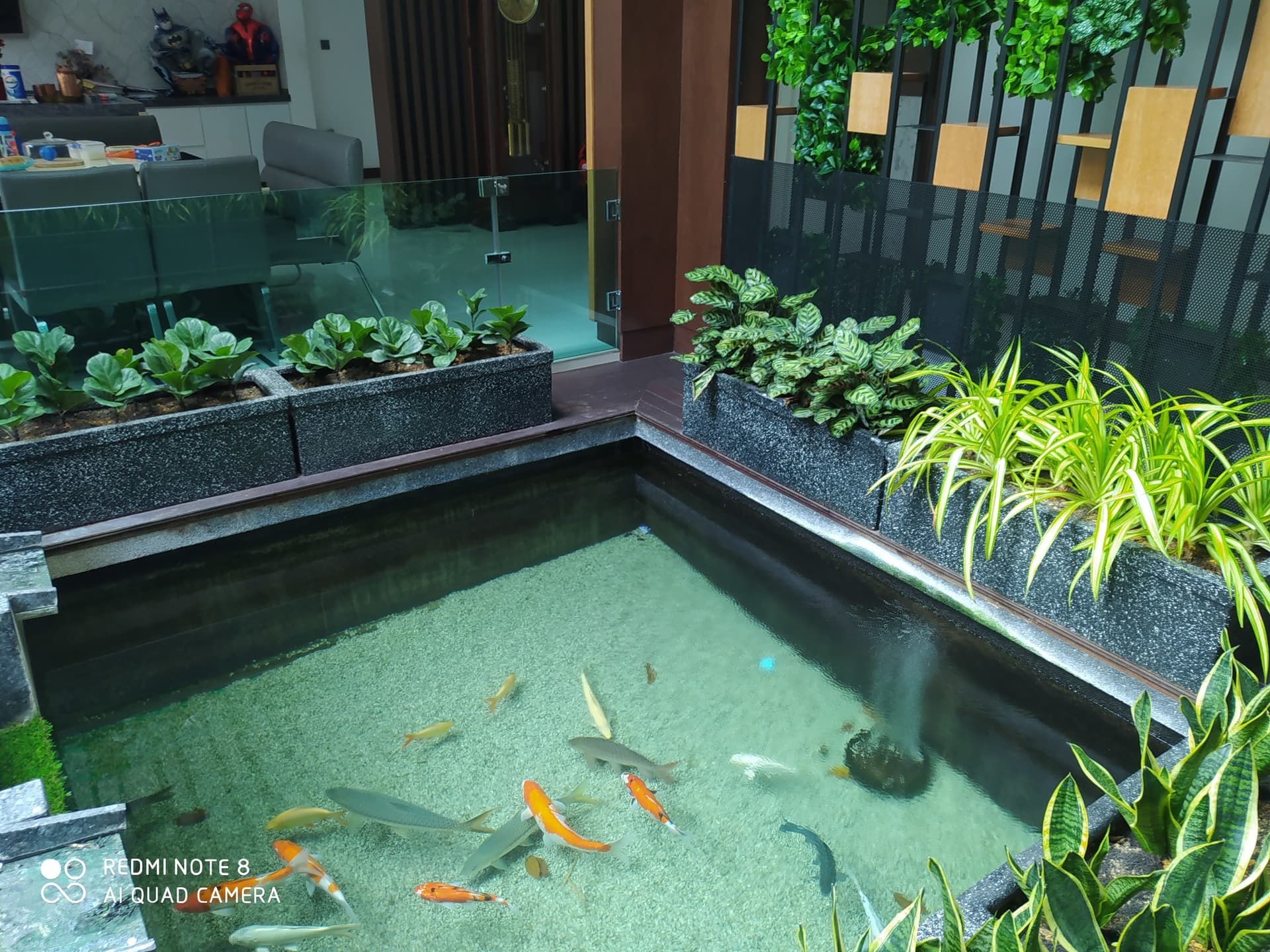 Real Grass for Outdoor Gardens Vibrant and Natural Lawn