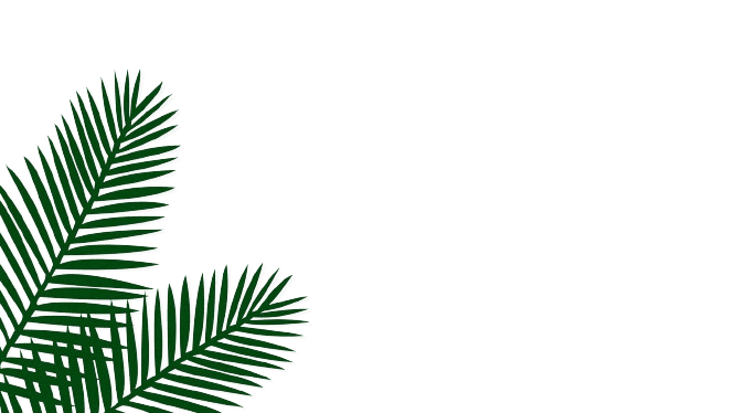 Leaf photo of gardening design malaysia