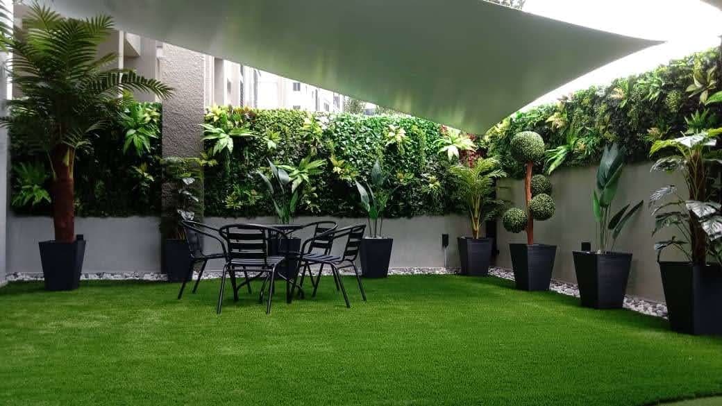 Rental Plant for Event & Exhibition